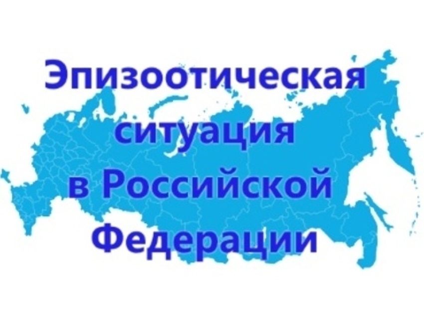 	Информация об эпизоотической ситуации в Российской Федерации по состоянию на 31 марта 2024 года.